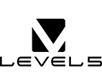 Level 5